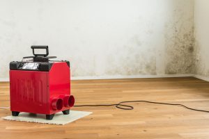 Red Dehumidifier in Damp Room